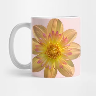 Kelsey Annie Joy Collarette Dahlia, Peachy Pink Flower Mug